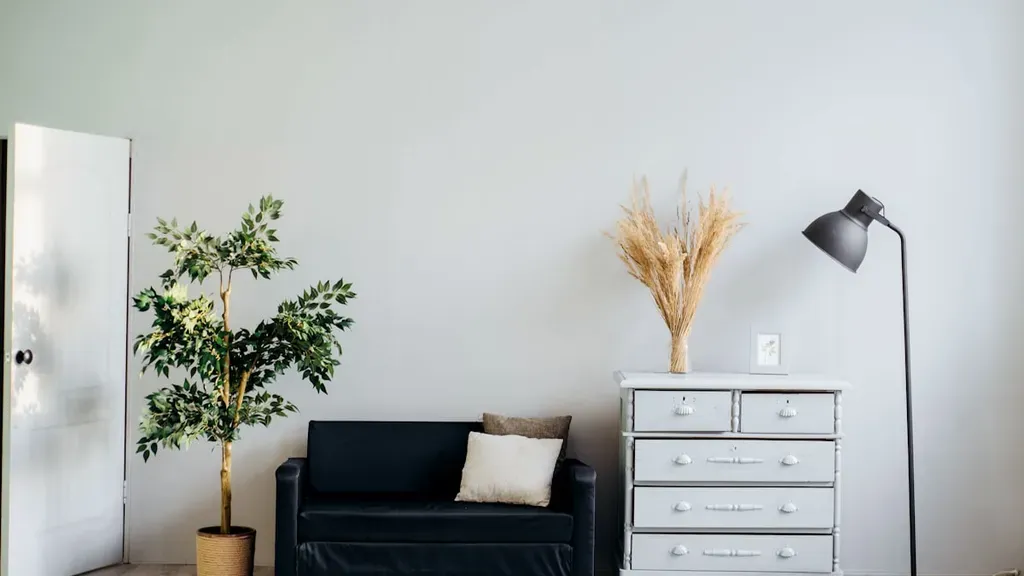Custom Shutters in San Diego: What Homeowners Should Know