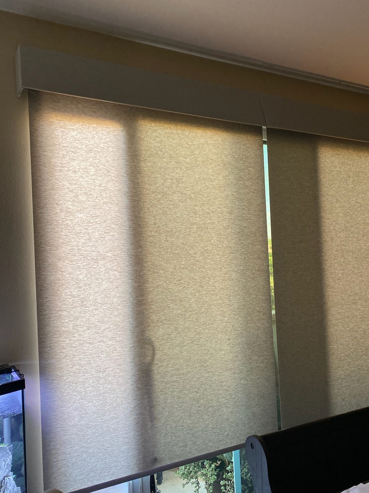 roller window shades
