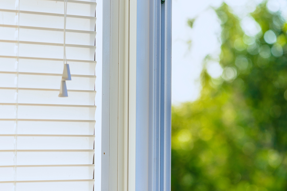 White Blinds - Blinds San Diego